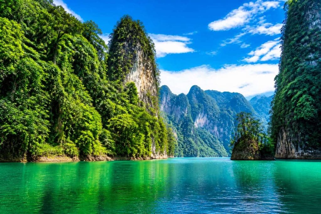 Trekking dans la jungle de Khao Sok en Thaïlande
