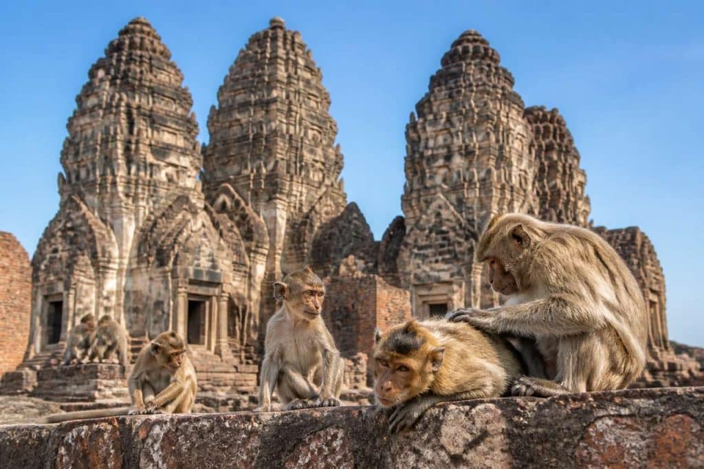 Lopburi : singes, temples et histoire d'une ancienne capitale