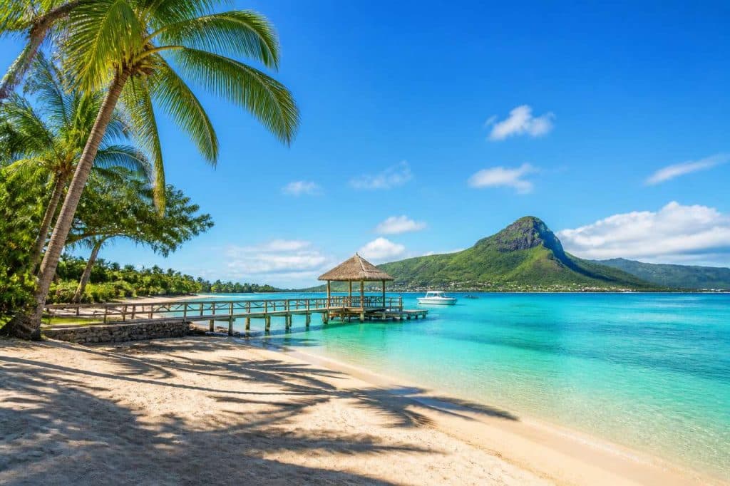 Coconut Island : guide complet pour visiter cette île paradisiaque