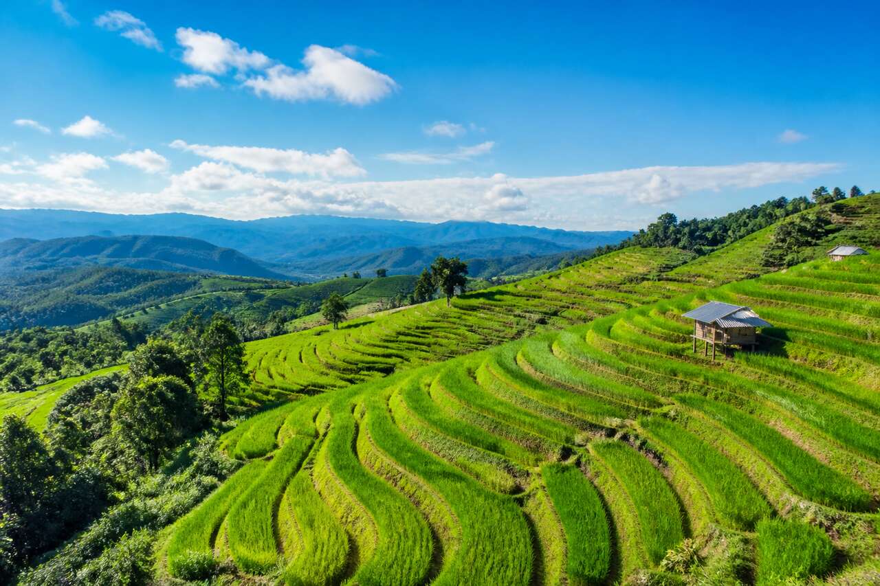 Ban Pa Pong Piang : les plus belles rizières de Thaïlande