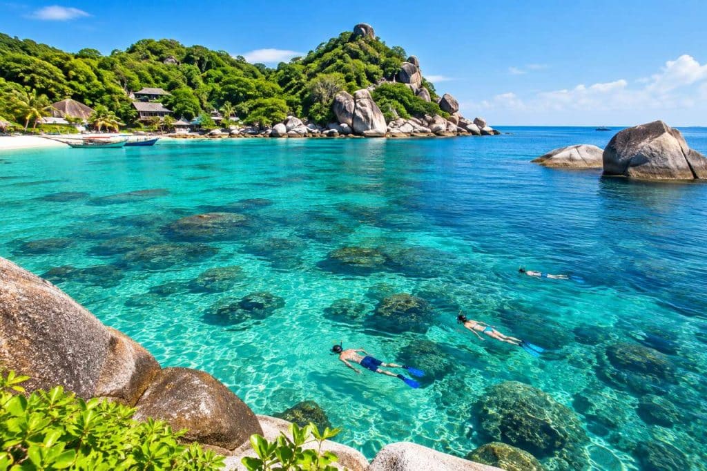 Sortie en mer autour de Koh Tao : découverte et snorkeling
